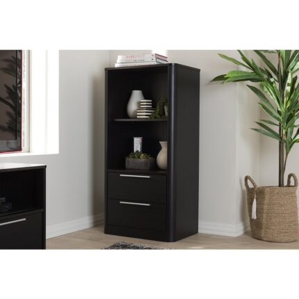 Carlingford Modern and Contemporary Espresso Brown Finished Wood 2-Drawer Bookcase – Baxton Studio
