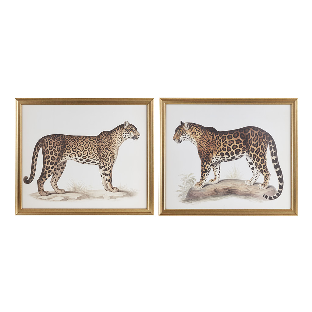 The Duel Cheetah Framed Graphic Wall Decor 2 Piece set